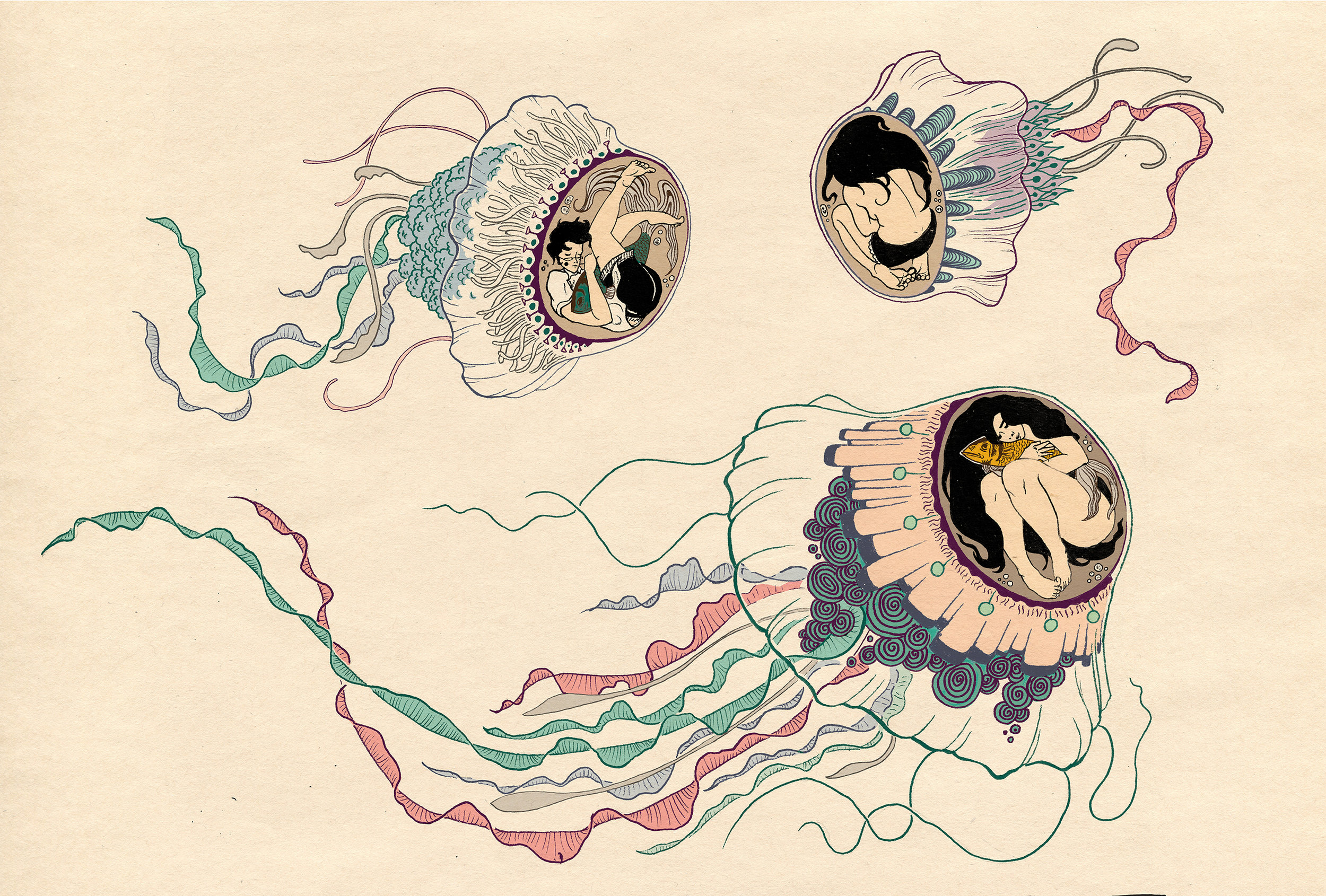Jellyfish