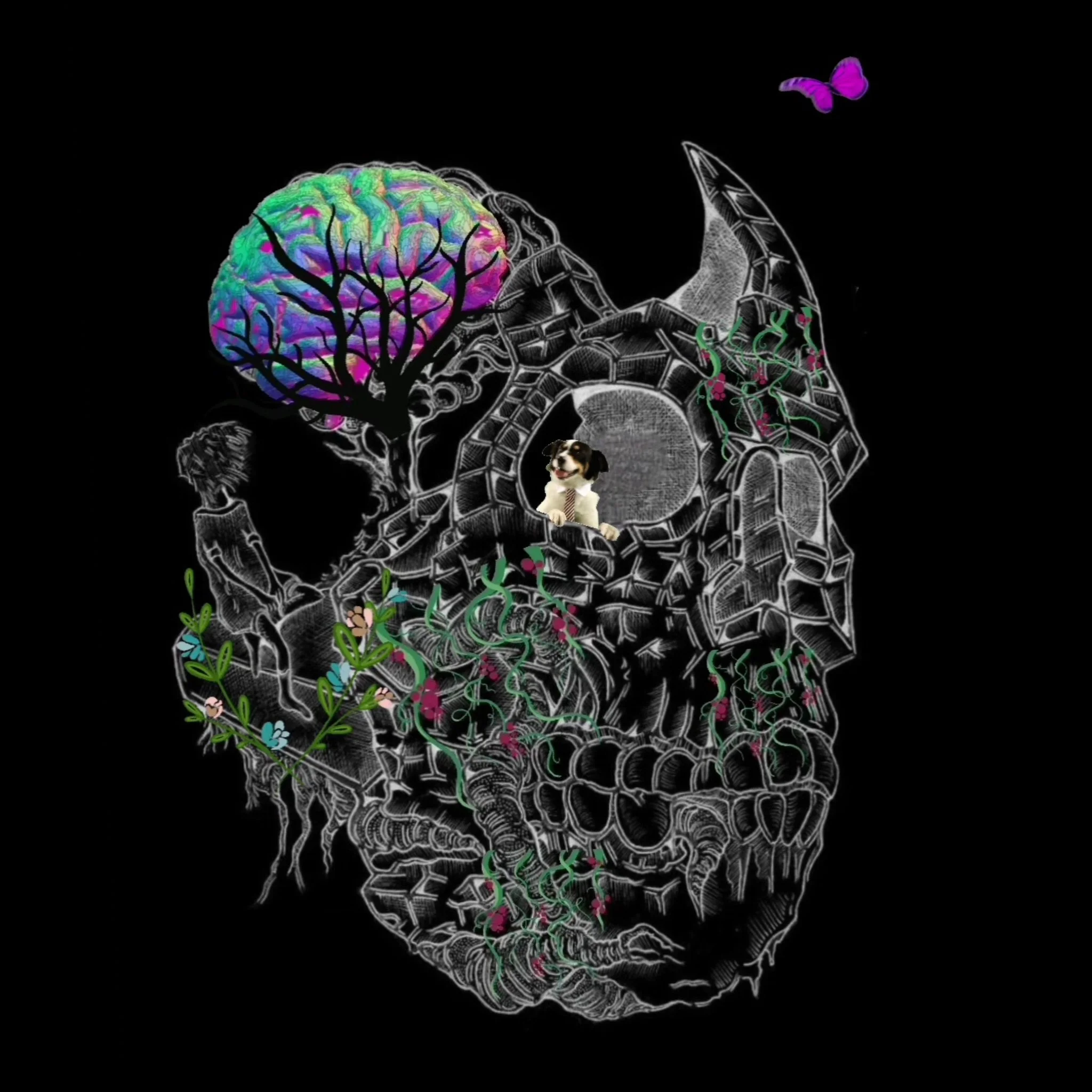 17_keeping_an_open_mind.jpg