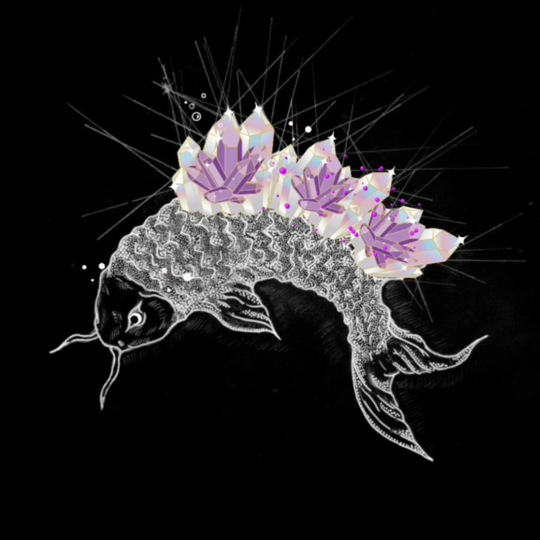 34_Something_fishy.jpg