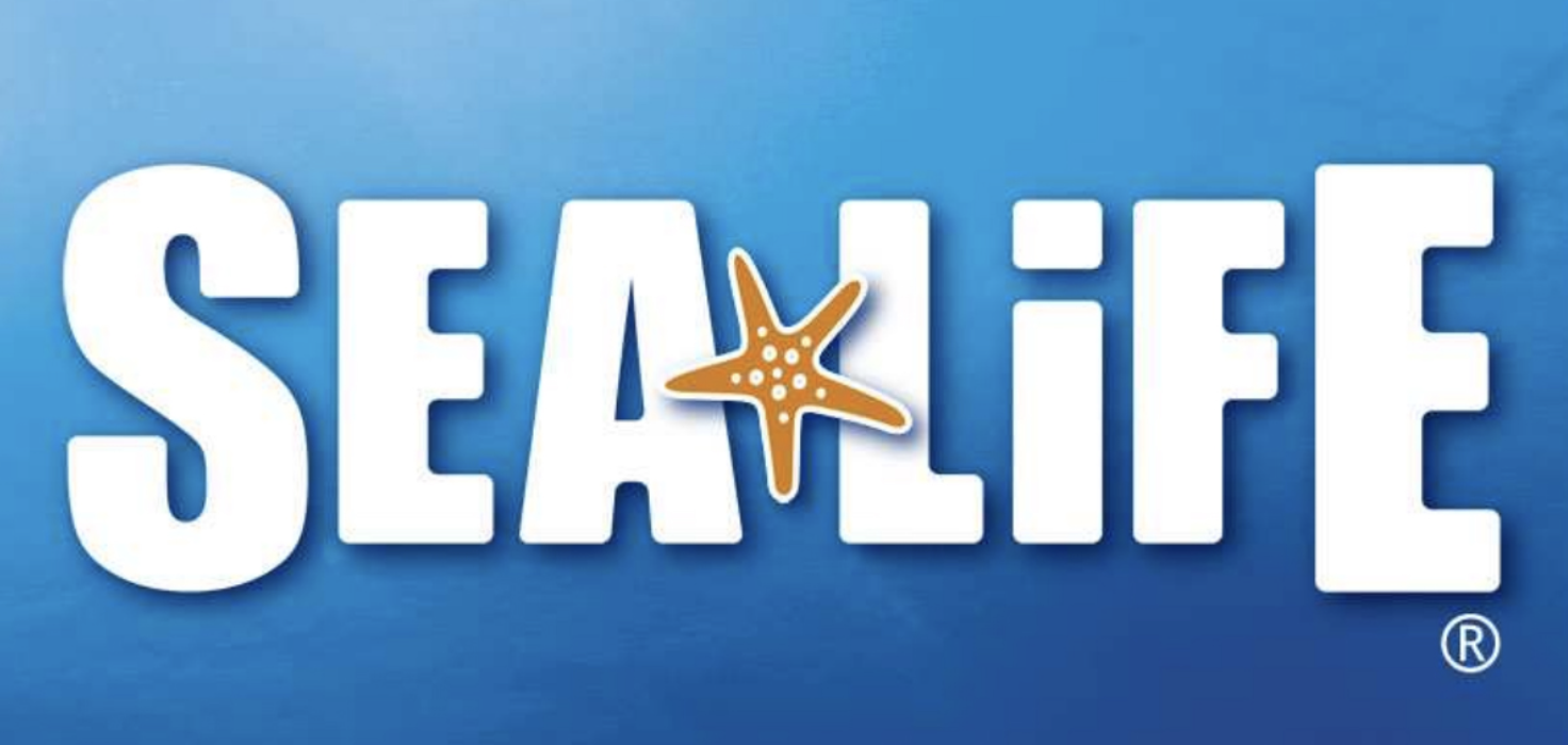 Sea Life