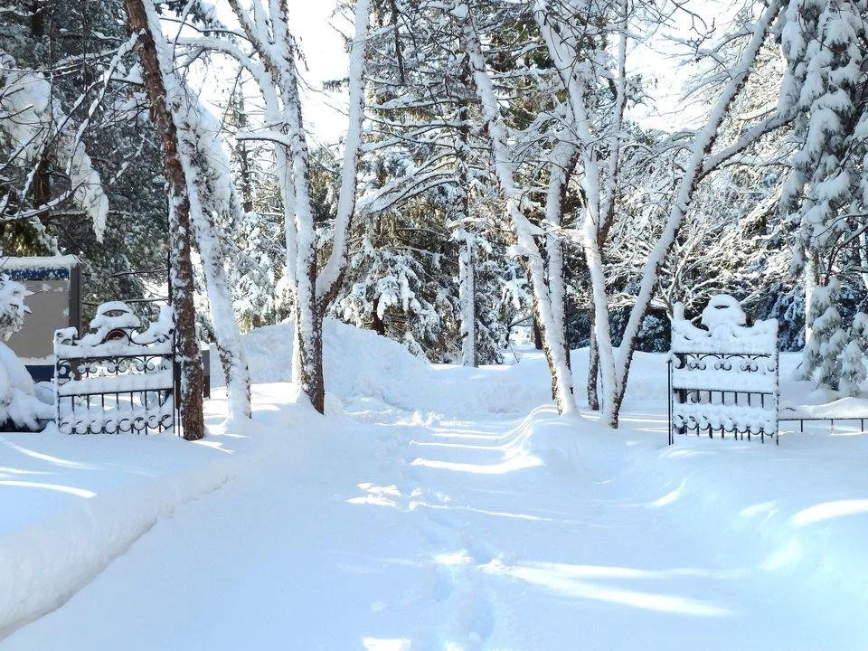 Down to the Final Two (UUN #16-22)