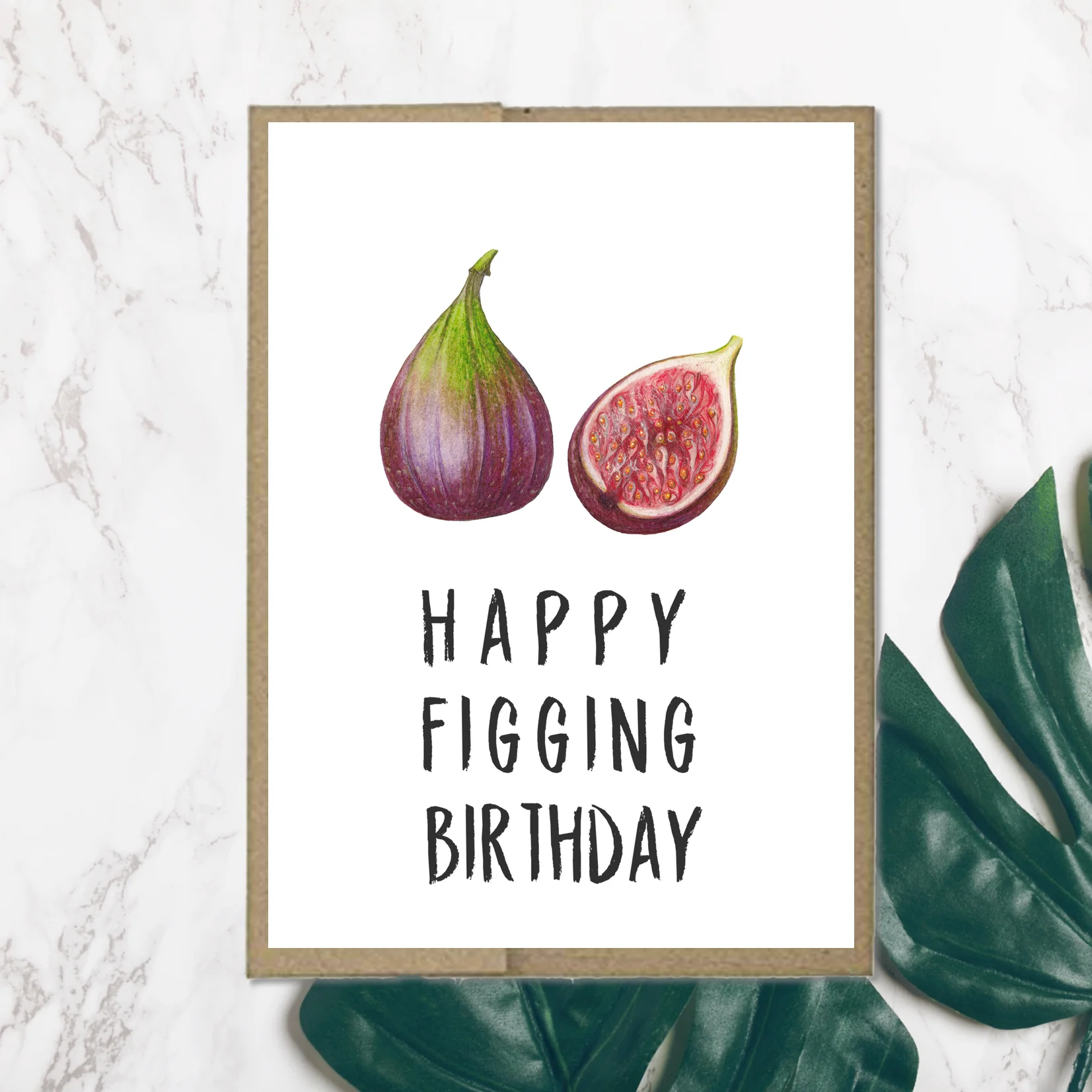 Figs_Front.jpg