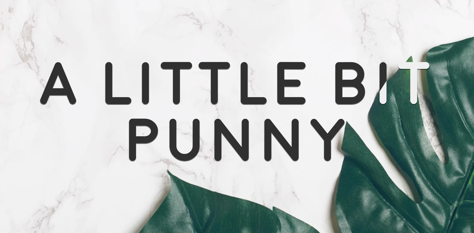 A Little Bit Punny_2.jpg