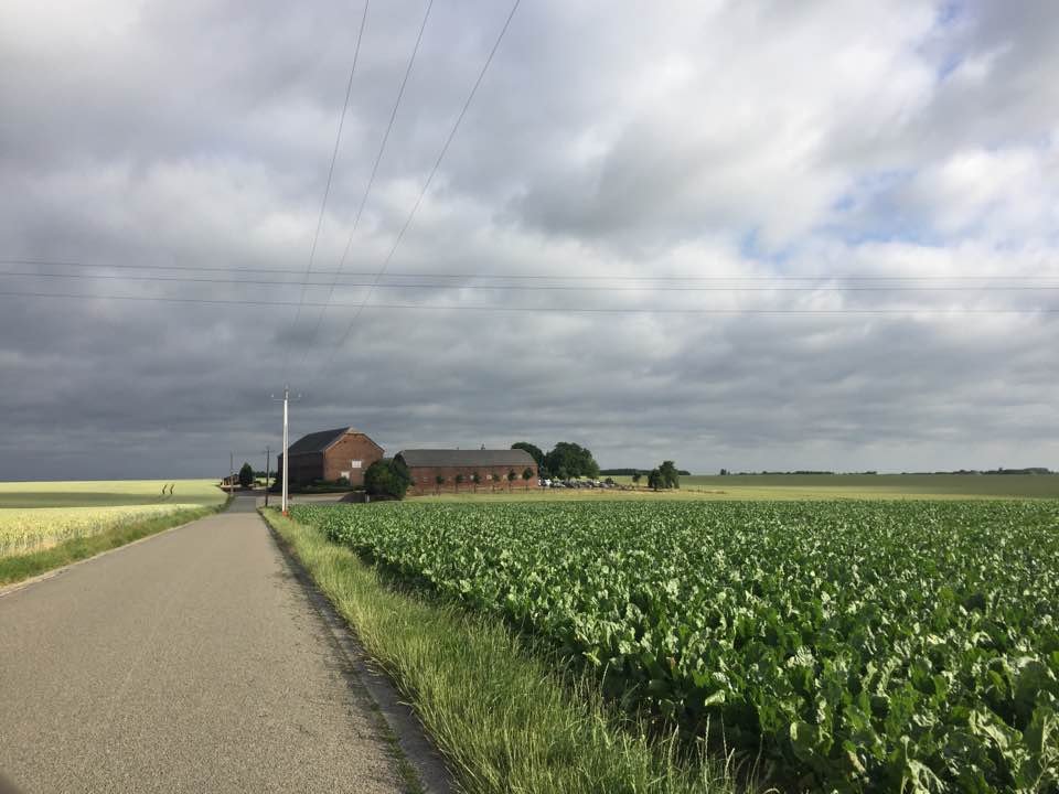 Ardennenrit: Eghezee