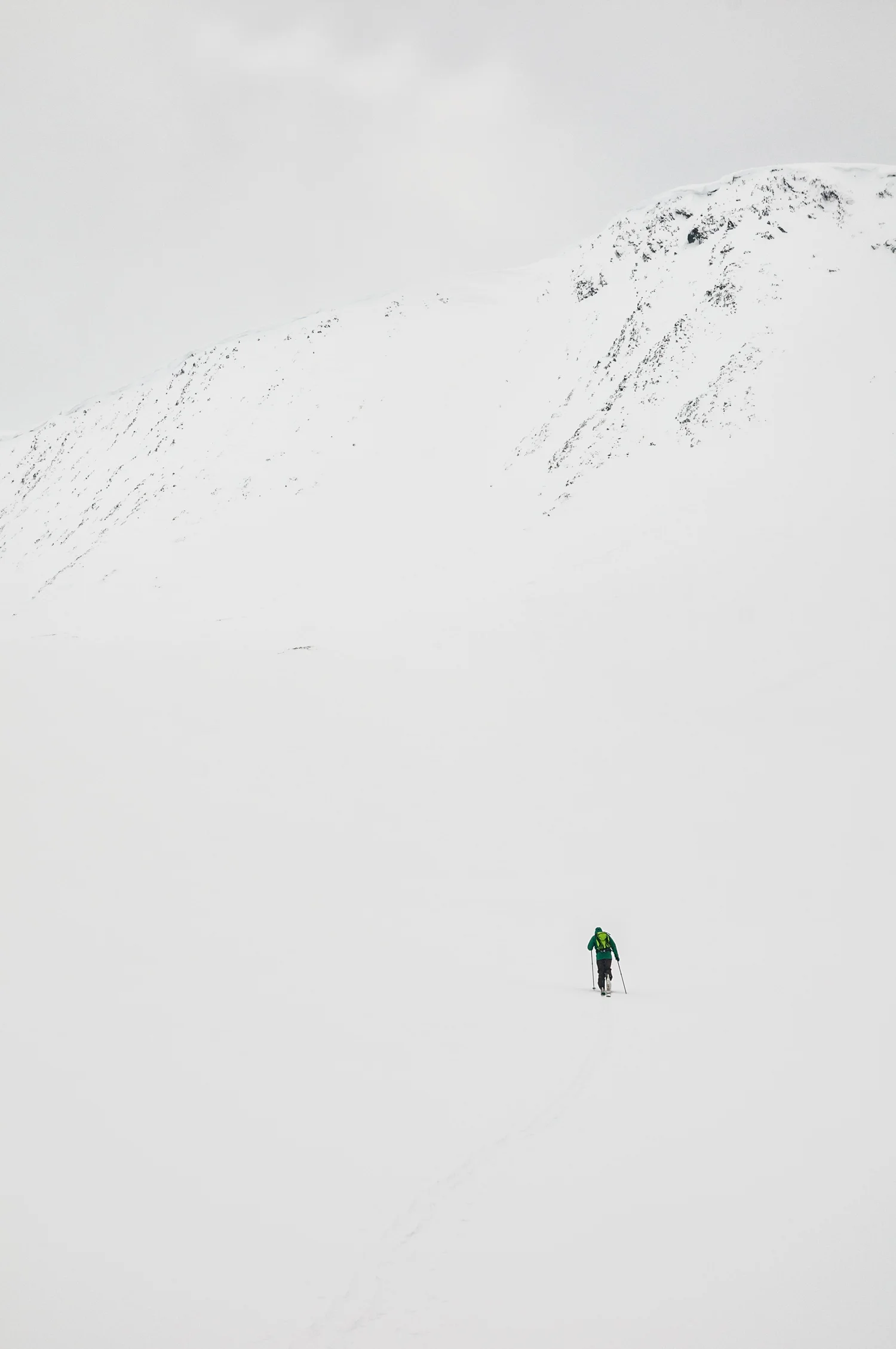 Lyngen