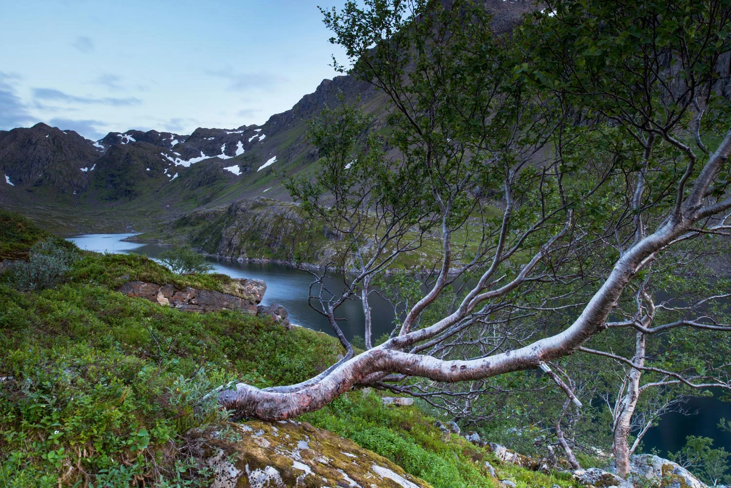 Vill og nærmest urørt natur på Seiland
