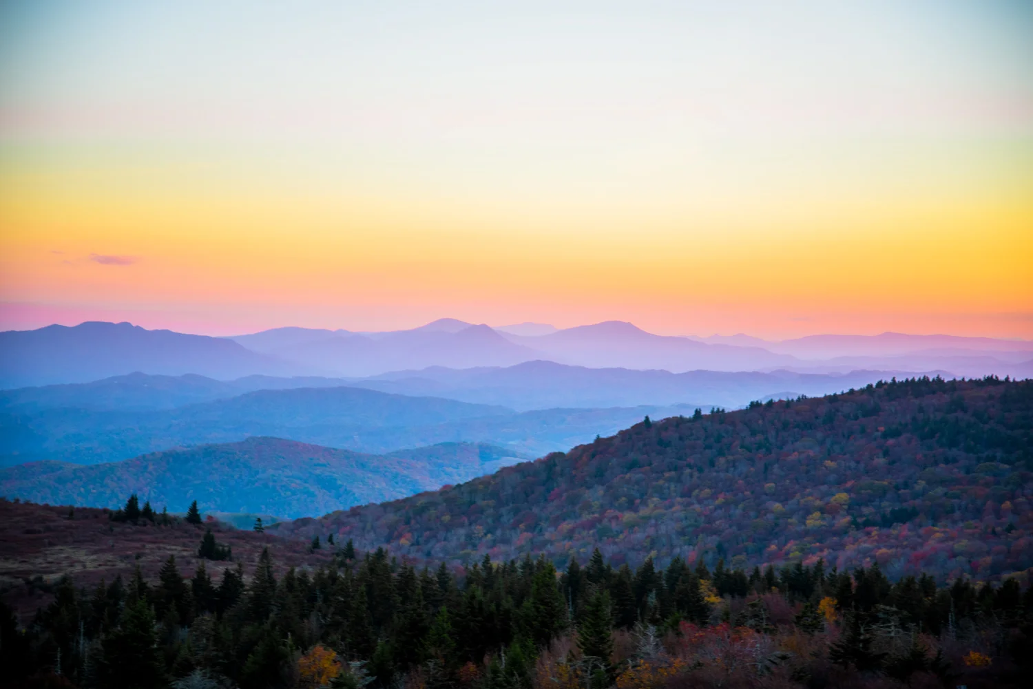 DSC_6209.jpg