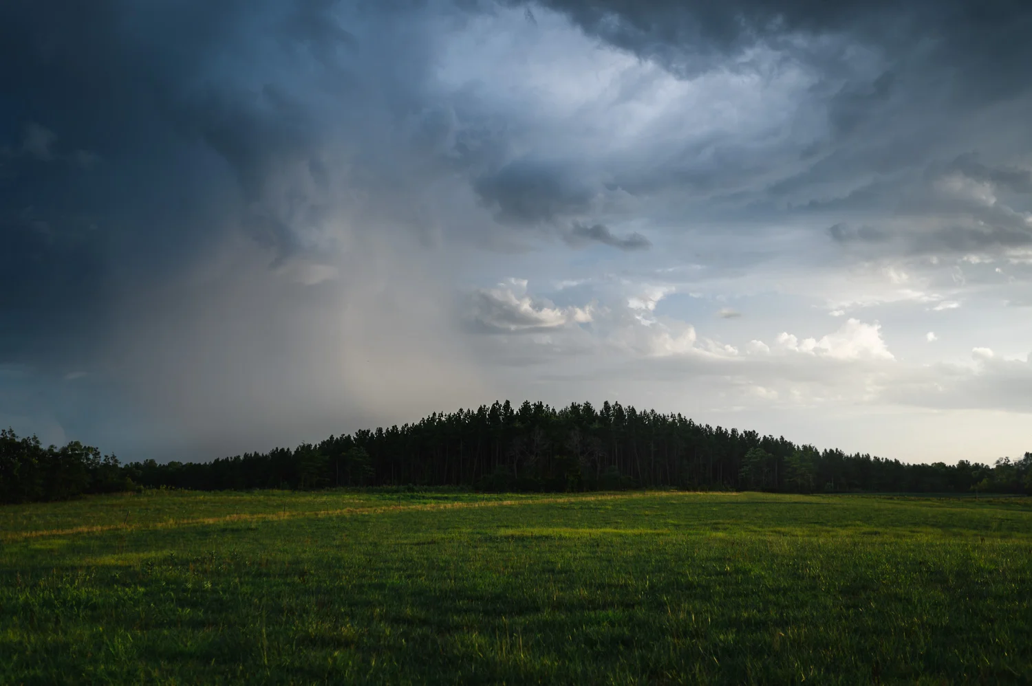 DSC_9320-Edit.jpg