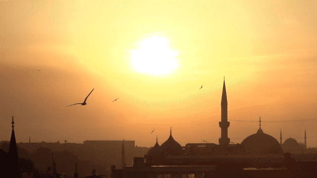 CONTIKI - DEAR TRAVELLER-low (2).gif