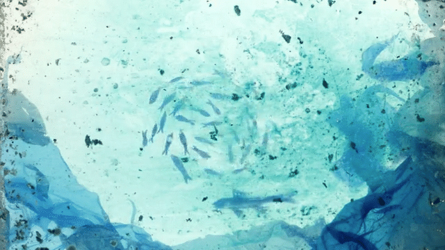 Jazzanova - Rain Makes The River-low.gif