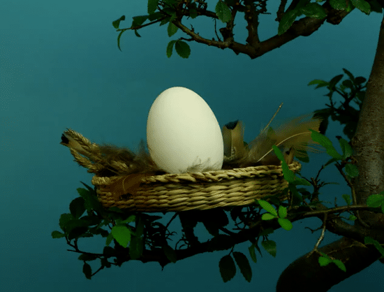 LOVE GOLD - HANCOCKS-low.gif