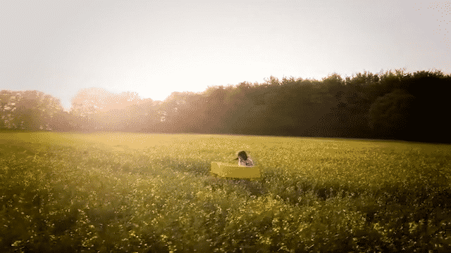 Sonia Stein - Zoom Out (Stein Away Session)