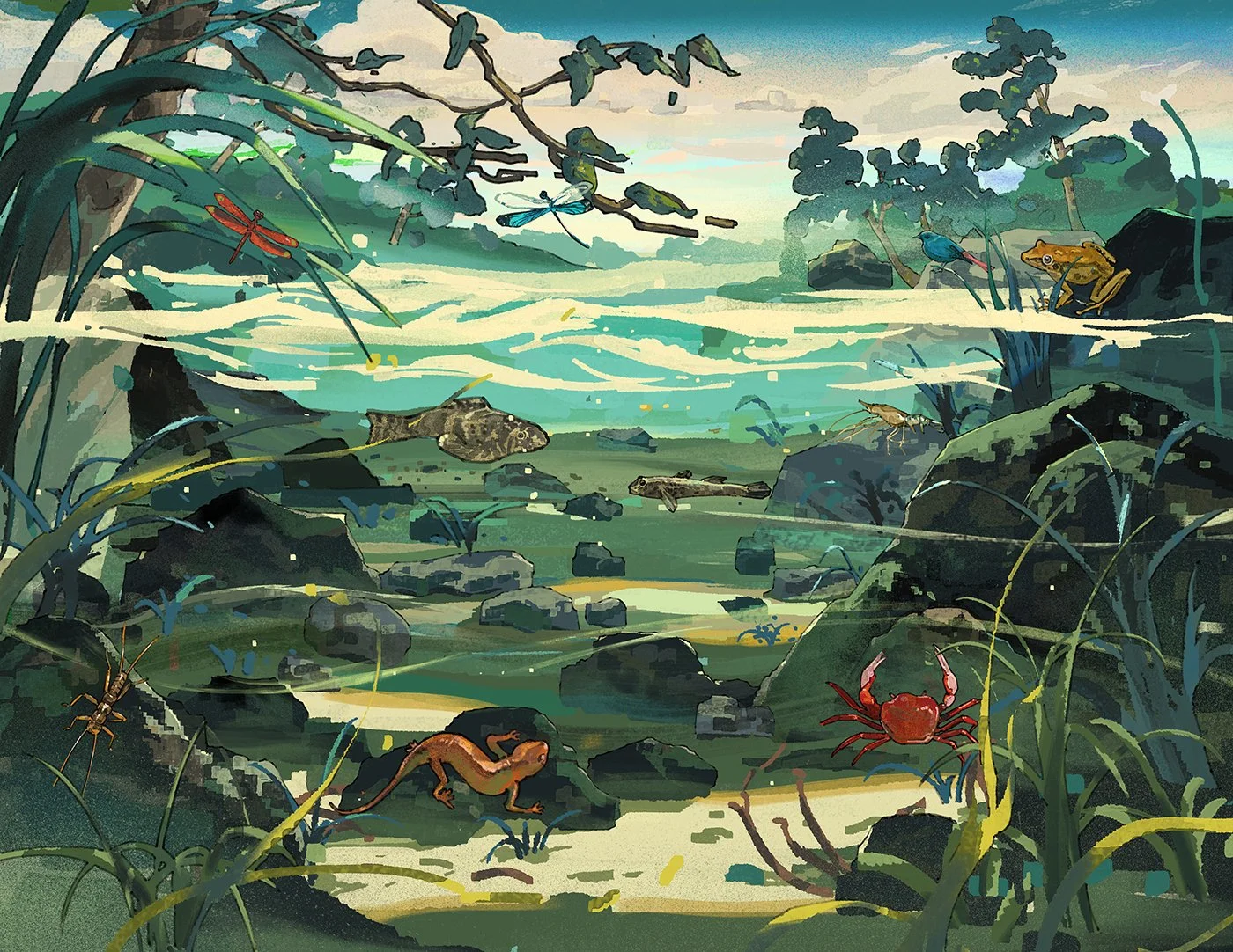 插圖 copy.jpg