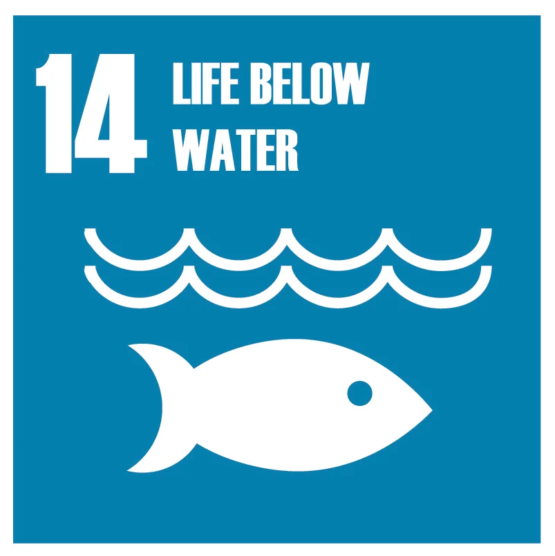 Global Goals-14.jpg