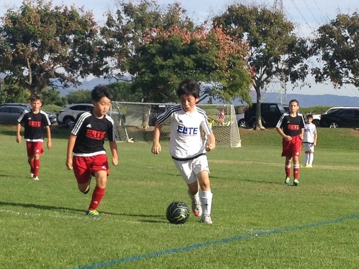 REC+ & INTERCITY PROGRAMS Rec+ for players born in 20010 and 2011. Click here for more information. Intercity for players born between 2000 & 2009. Click here for more information.