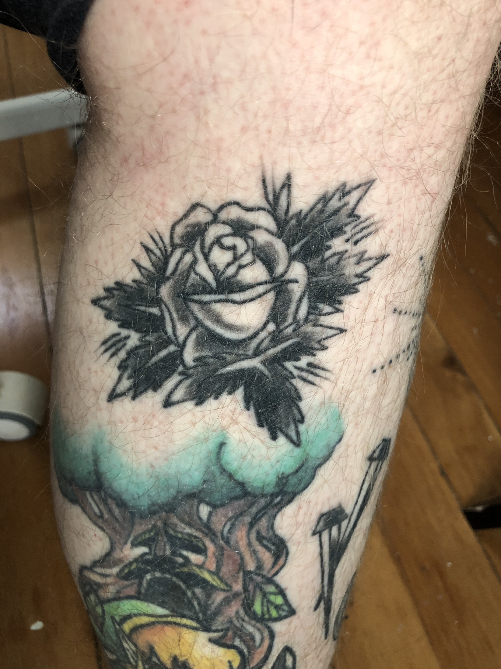 Screenshot 2026-01-23 at 8.58.03 pm.png