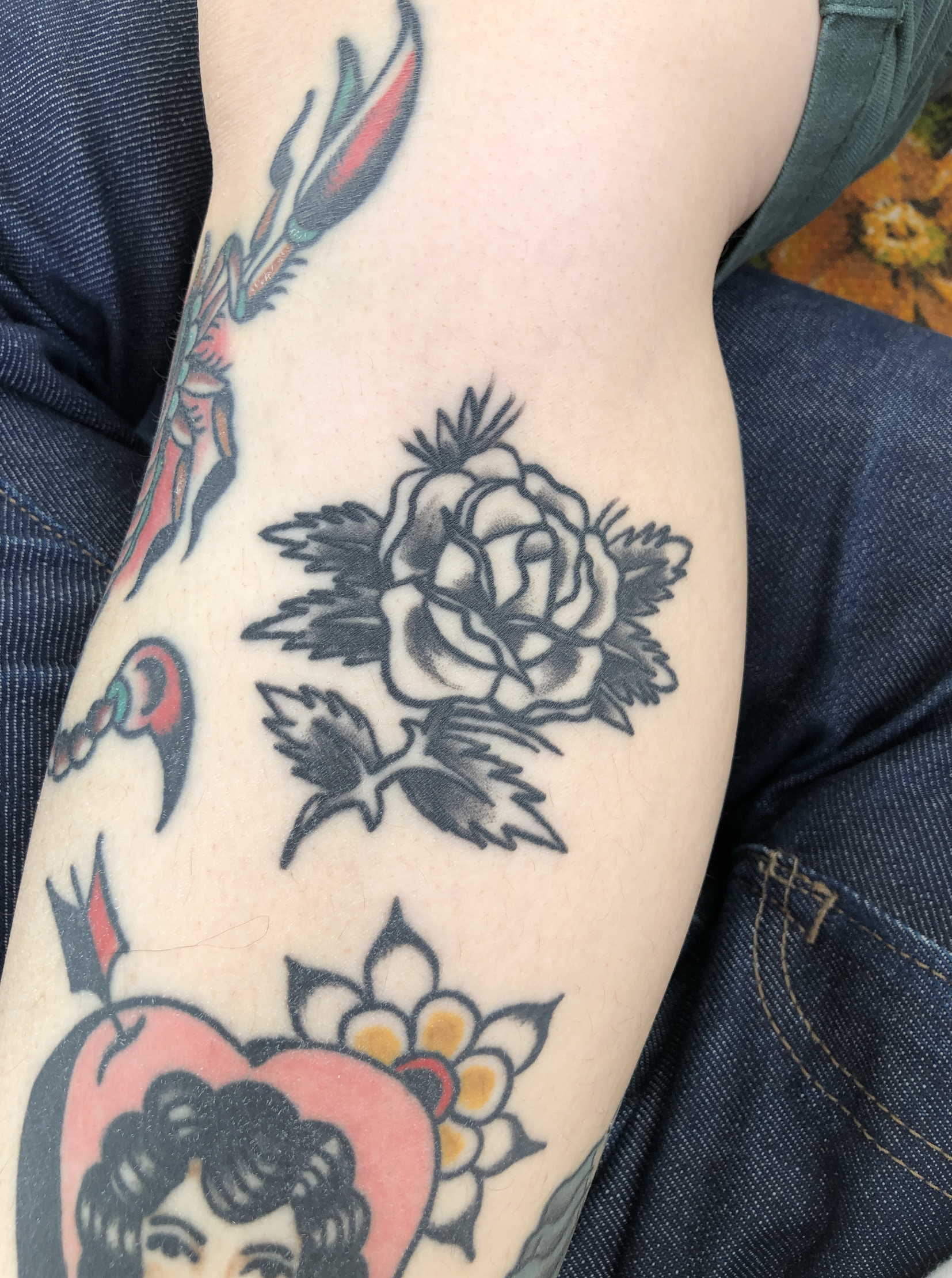 Screenshot 2026-01-23 at 8.58.42 pm.png