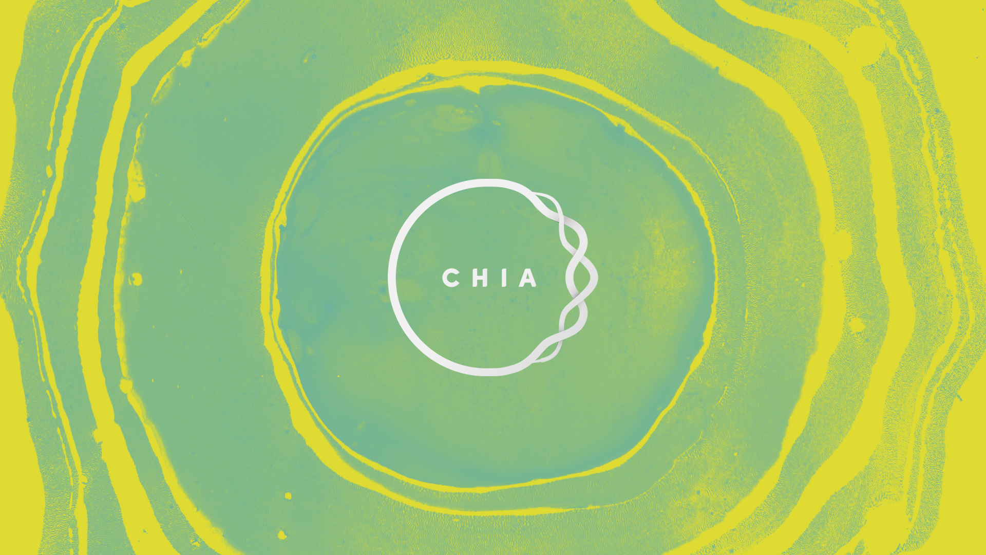 Intro Animation-FALLBACK.png