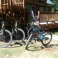 Bikes.jpg