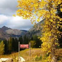 fall sign.jpg