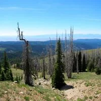 mule peak1.jpg