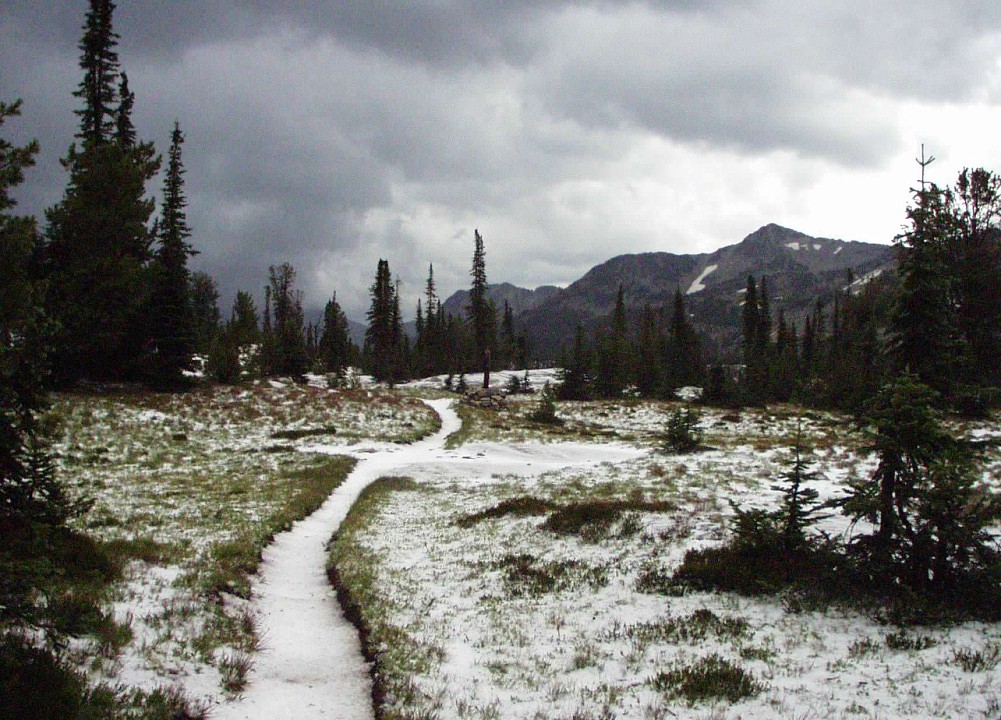 cross trails.jpg