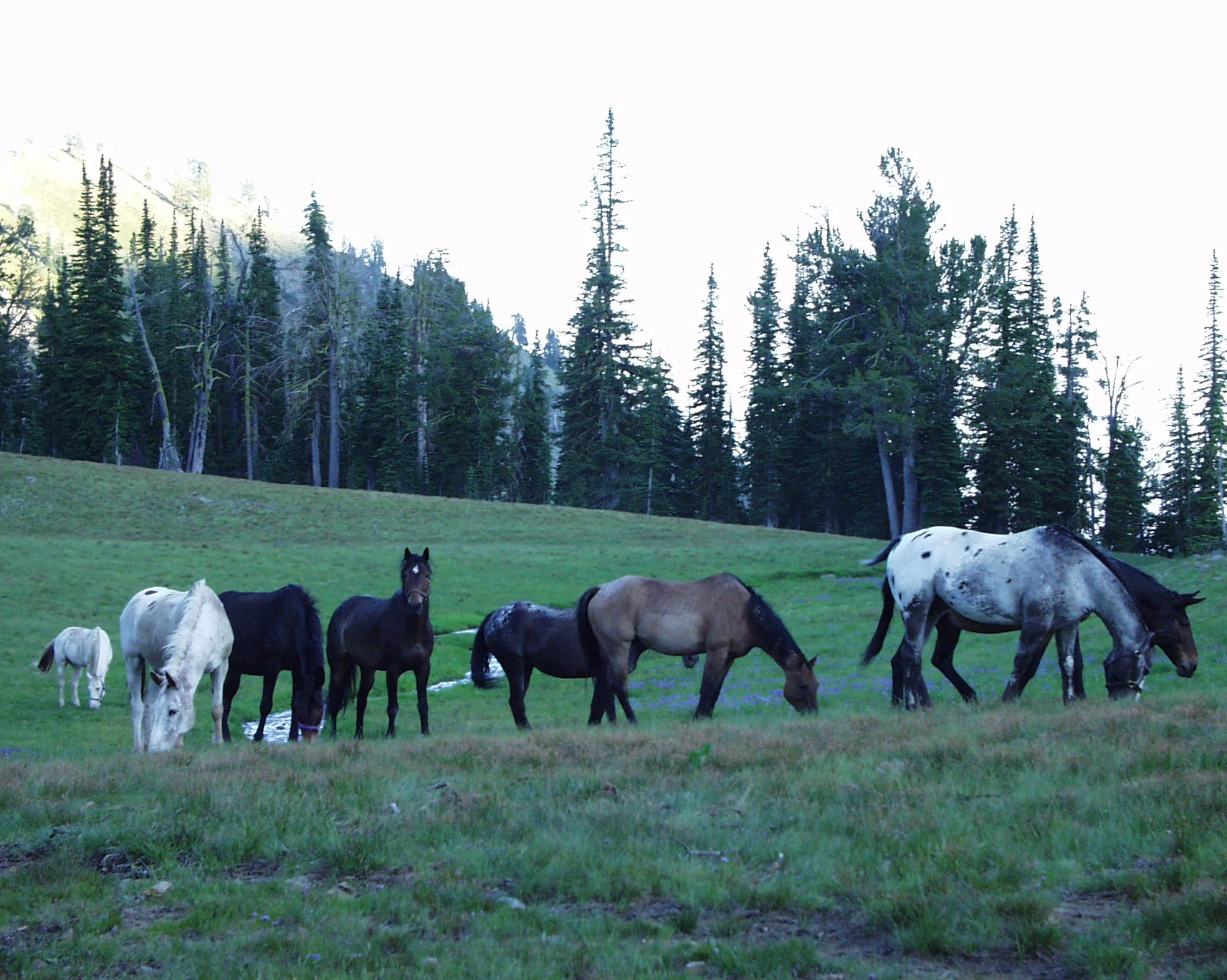 July and AugTrips & Horse Camp 039.jpg