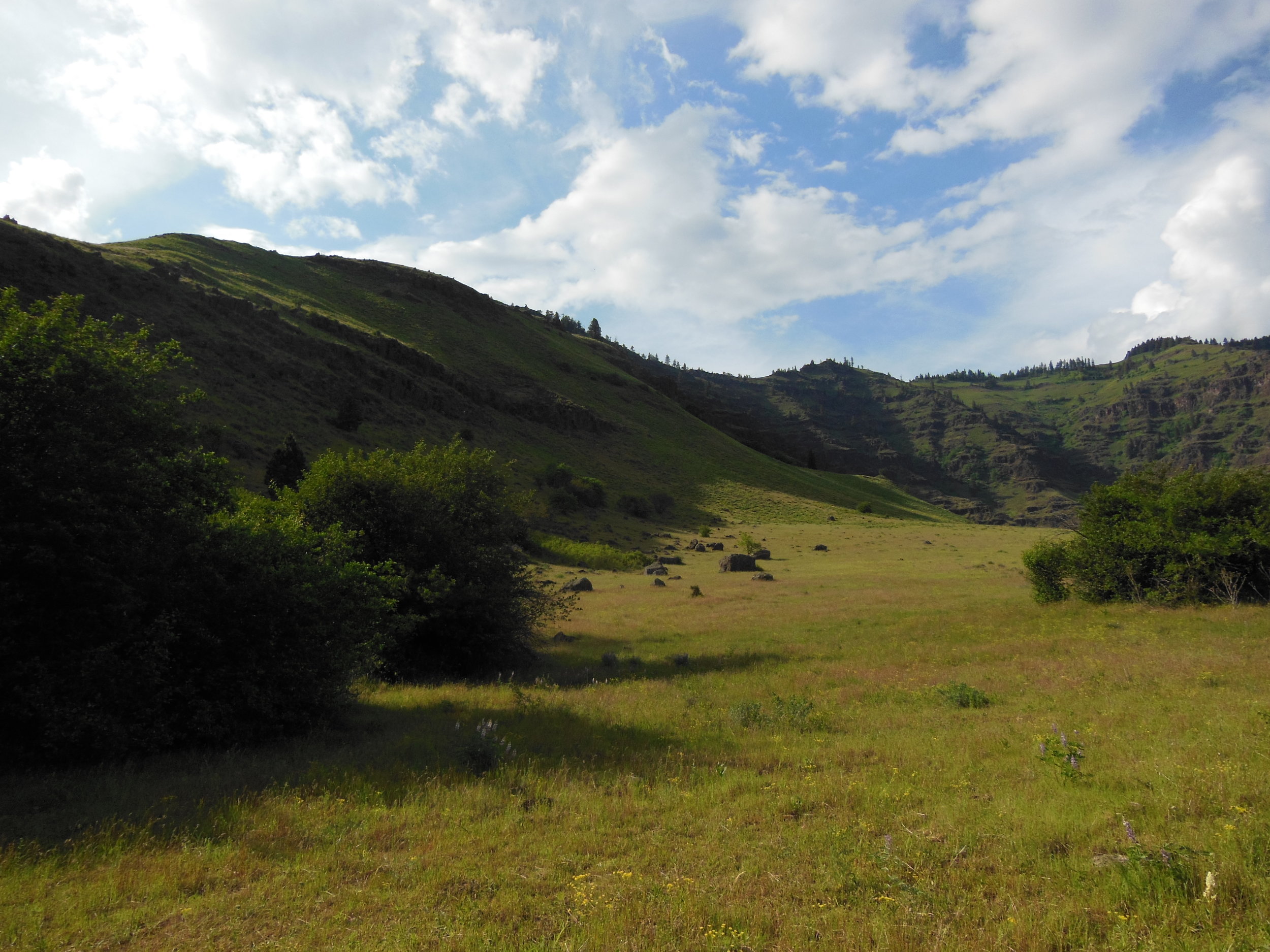 Hells Canyon Springtime Pack Trip 2018