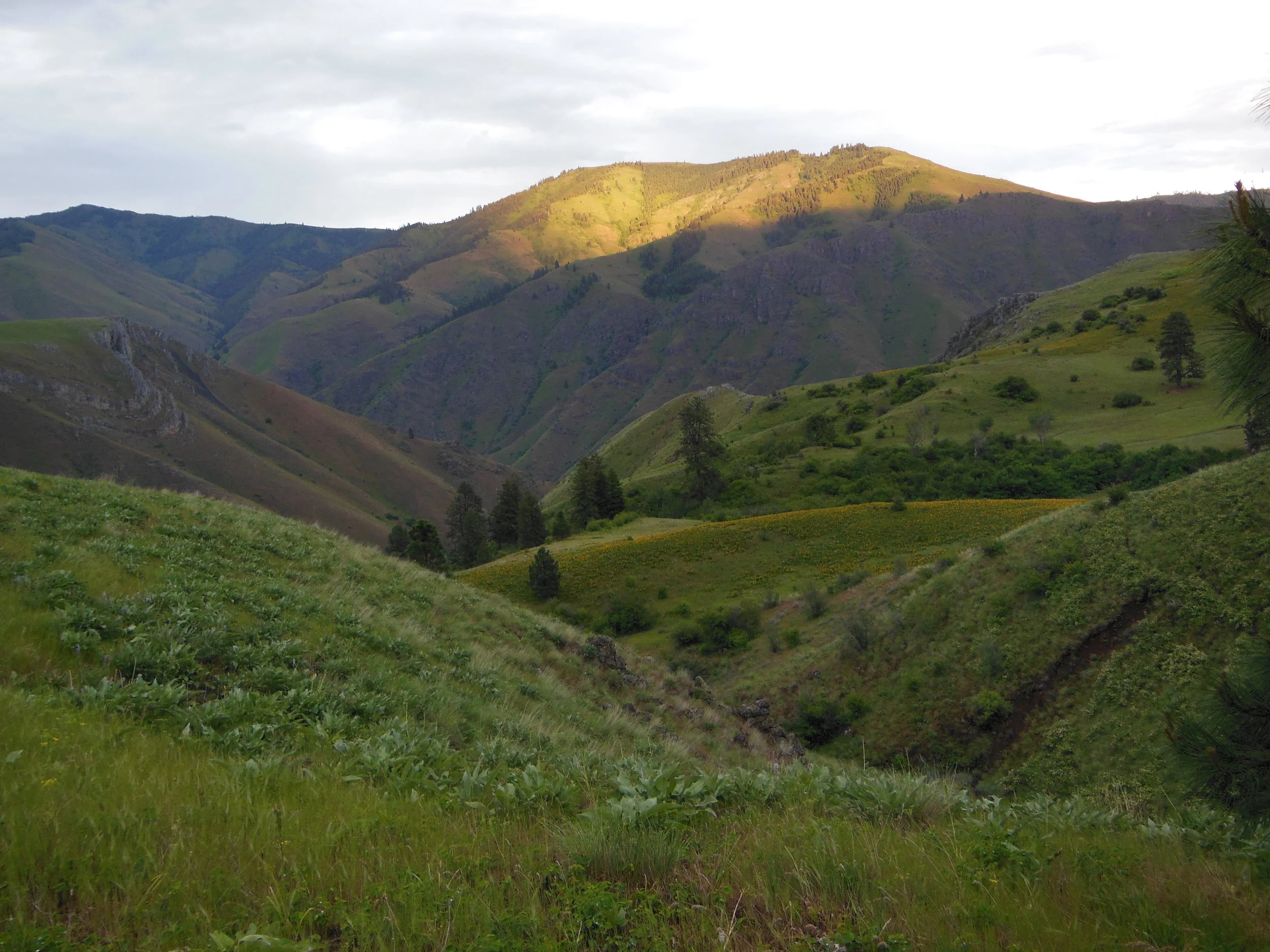 DSCN2705.JPG