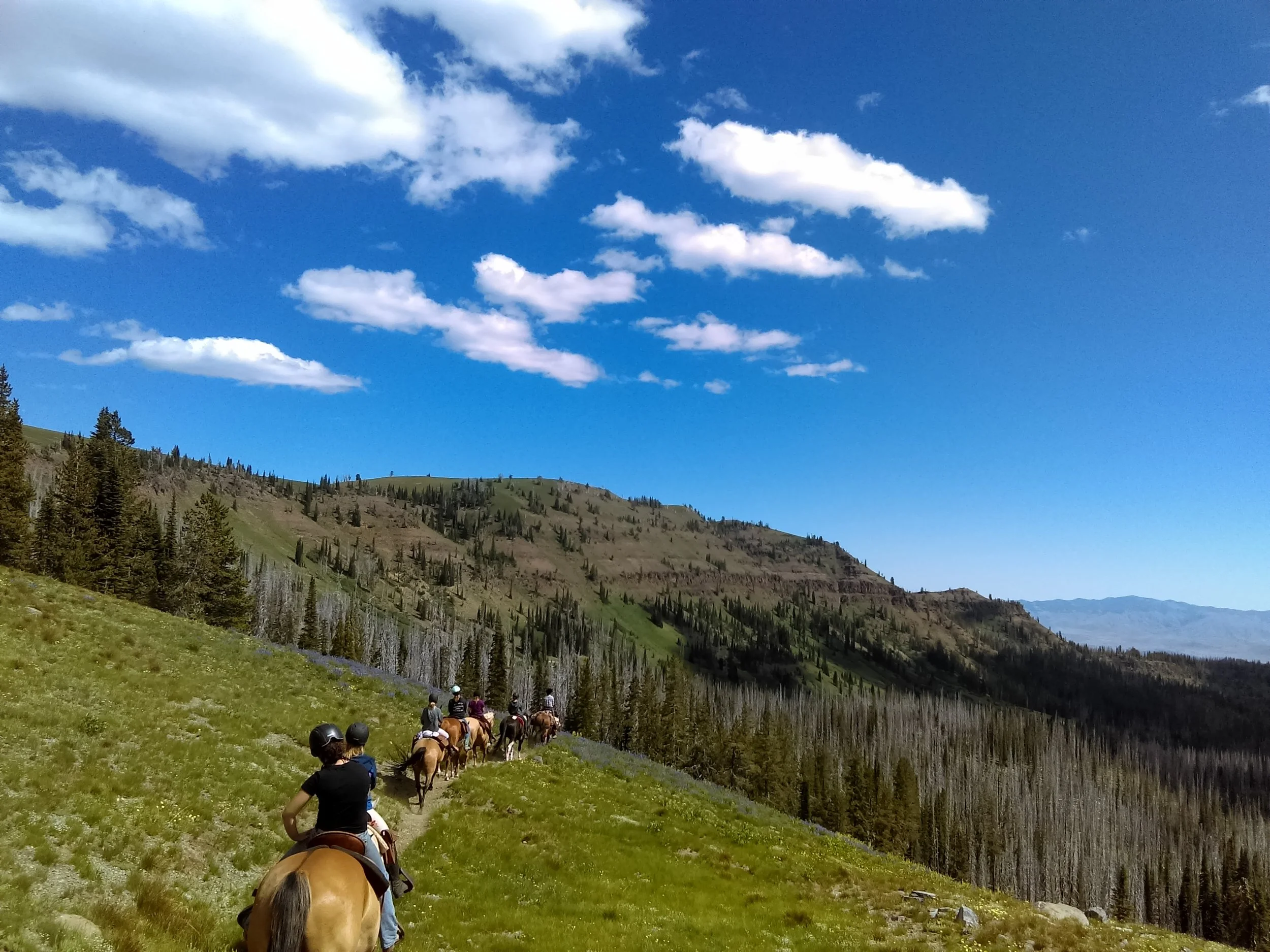 IMAG0849.jpg