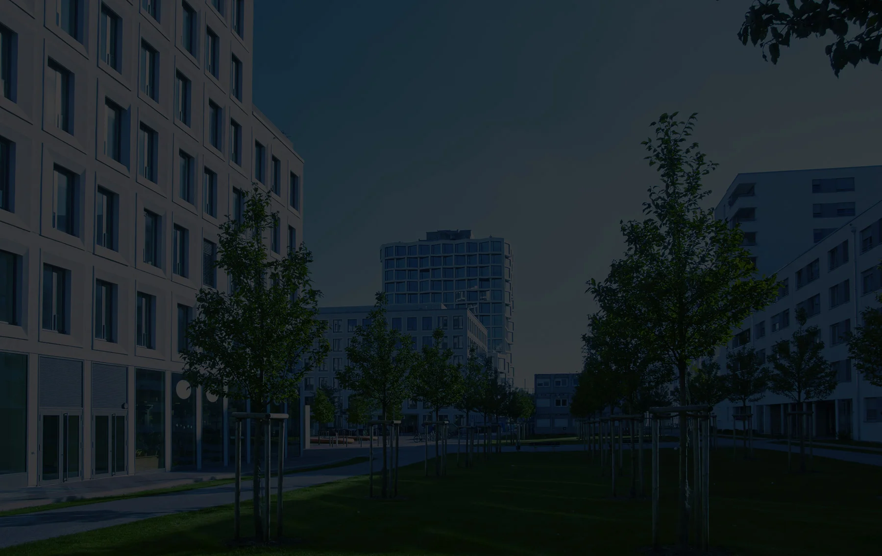 Banner-Image-2.jpg