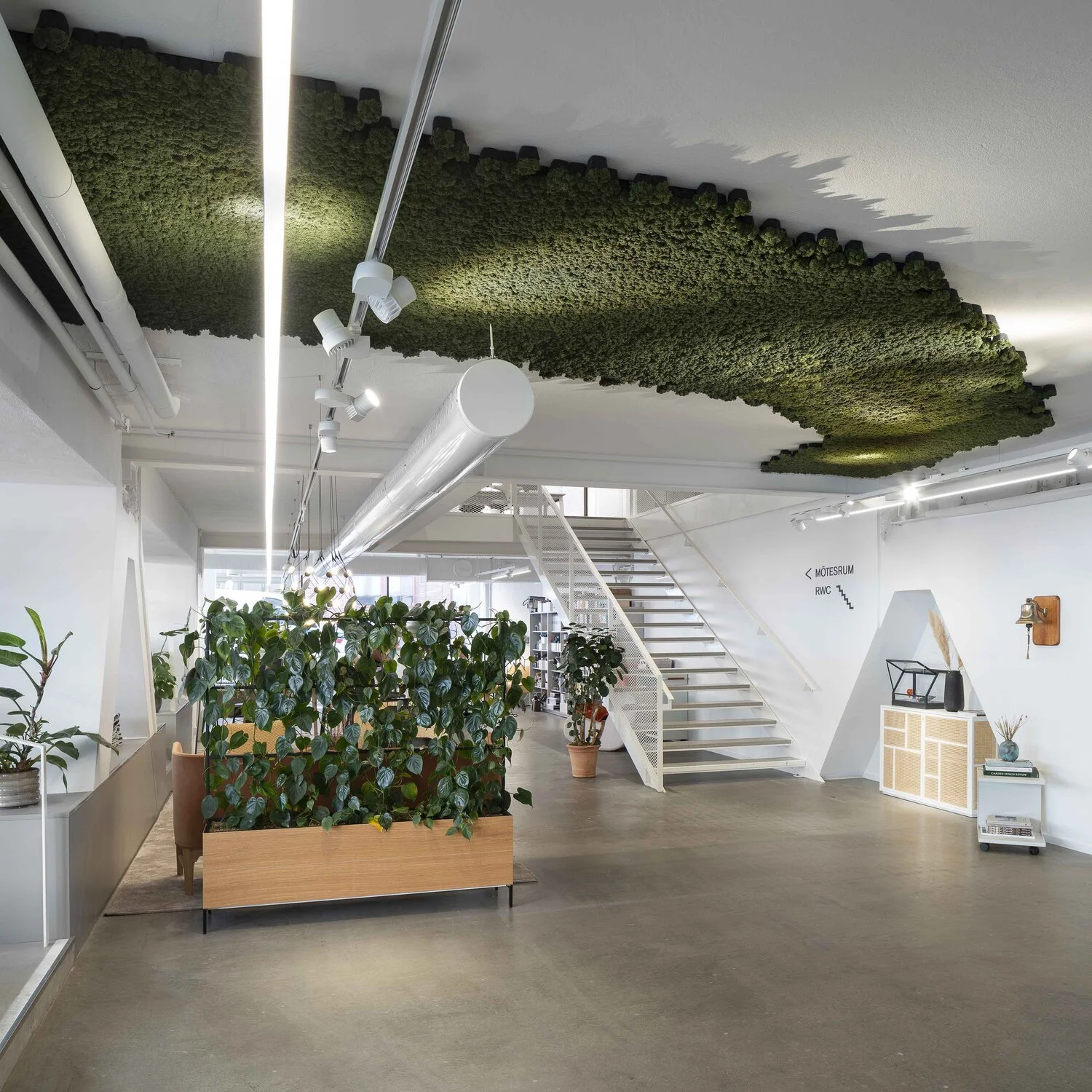 Pixel_Acoustics_Moss_ScandinavianSpaces_EnvironmentImage_5.jpeg