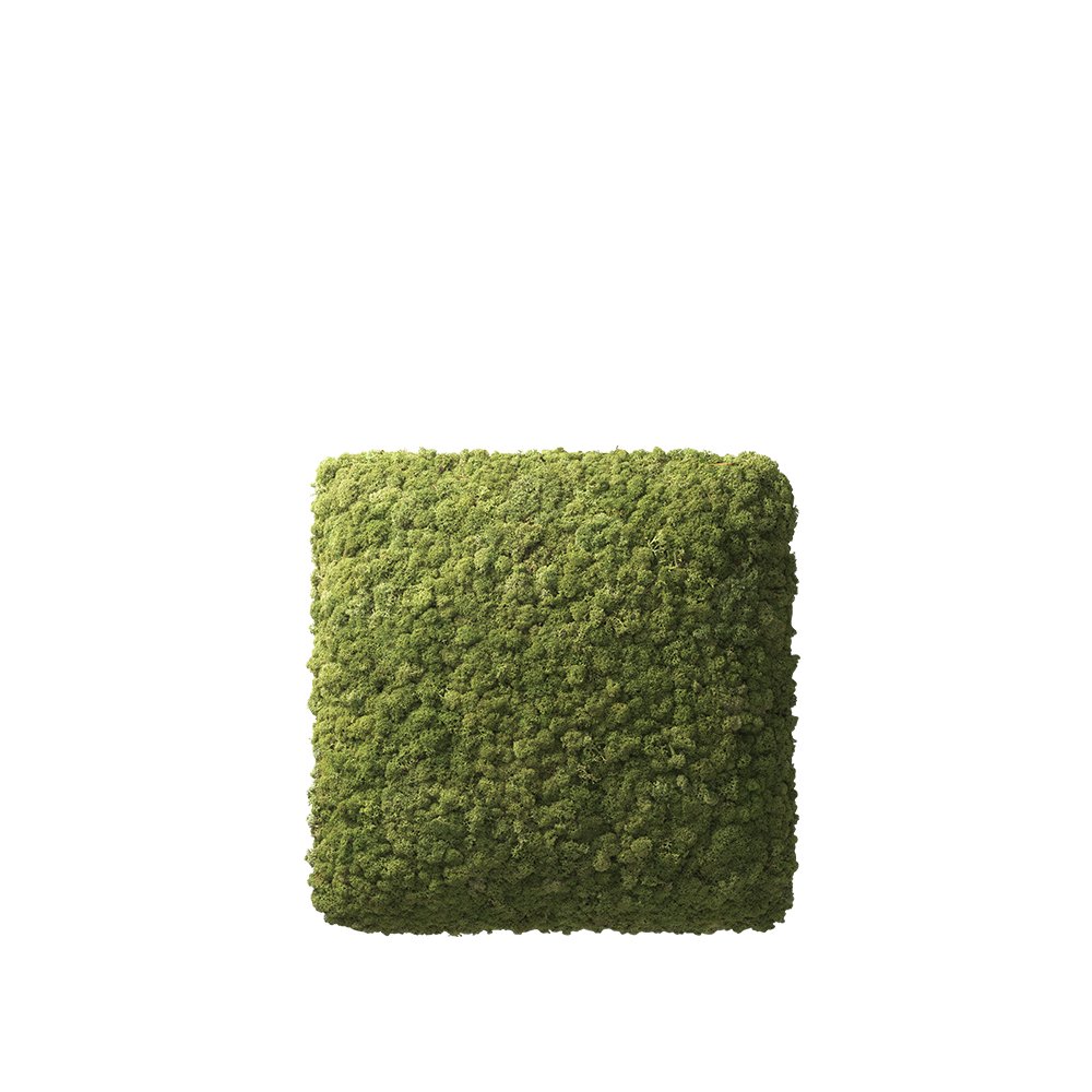 Spring Forest Frame Scandinavian Moss – Klonche