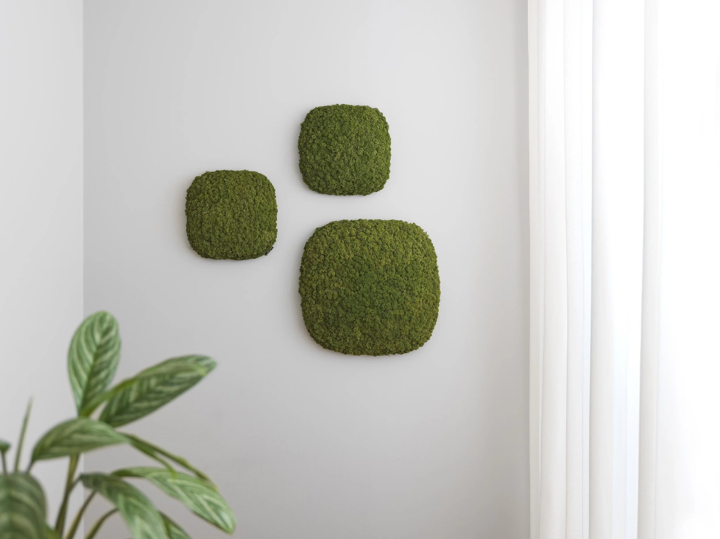 Convex_Acoustics_Moss_ScandinavianSpaces_EnvironmentImage_1.jpg