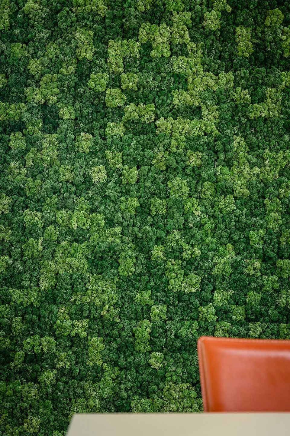 Pixel_Acoustics_Moss_ScandinavianSpaces_EnvironmentImage_6.jpeg