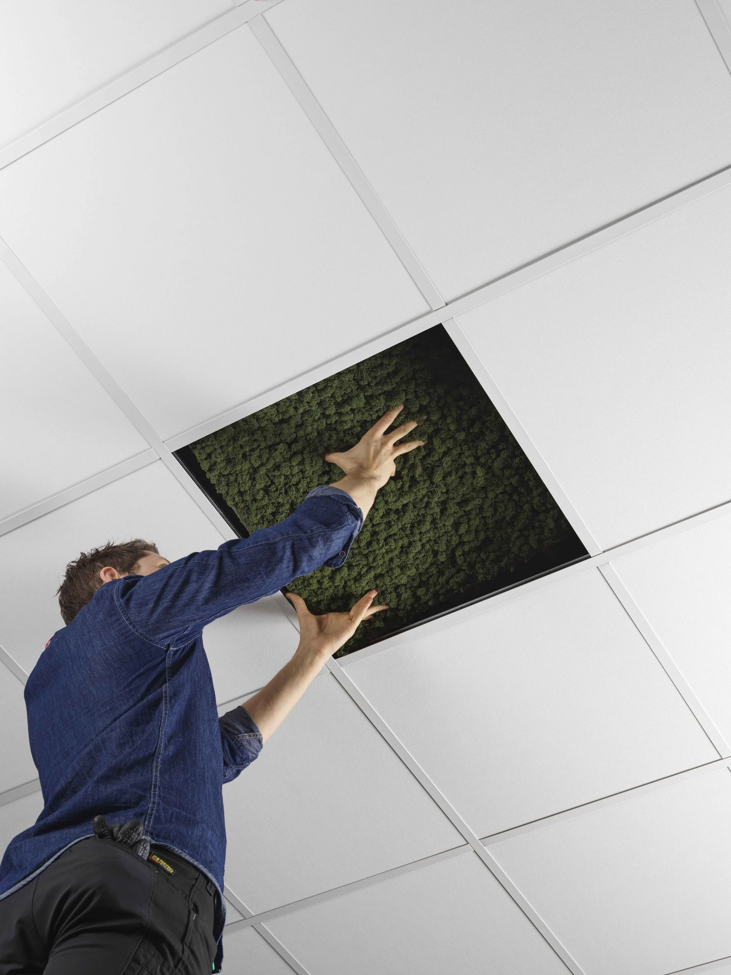 Ceiling_SocialImage.jpeg