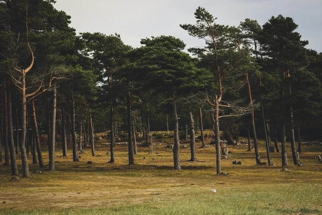 As the air cools and the leaves turn, we welcome all of the spooky vibes that October brings. 🕯️👻
Image: Pexels
