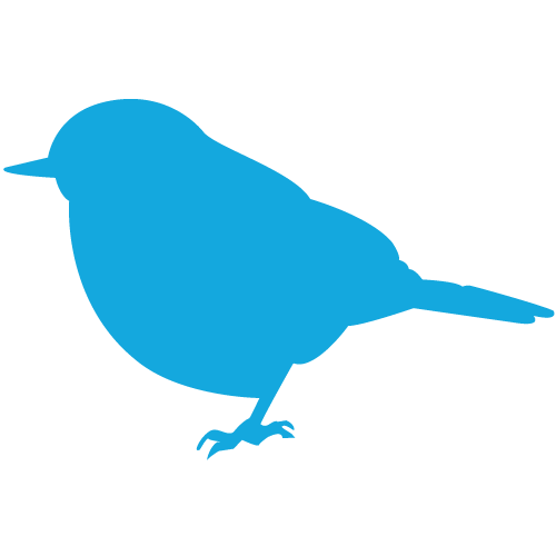 Spring_Street_Blue_Bird.png