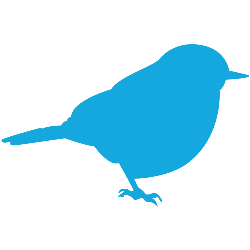 Spring_Street_Blue_Bird_02.png