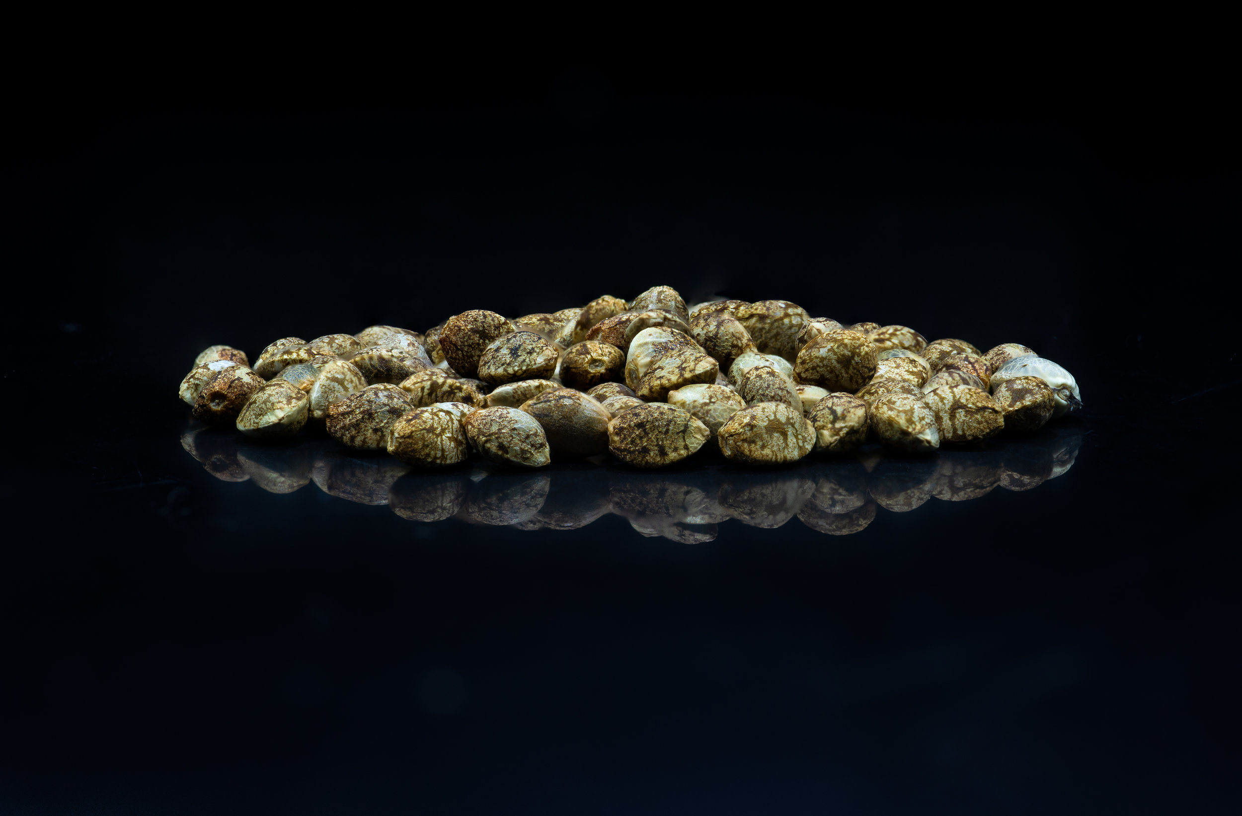 Island of seeds