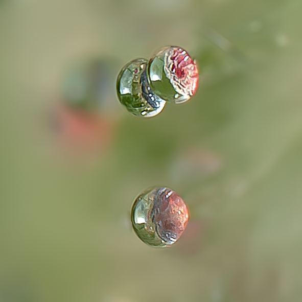 Pink trichomes from above