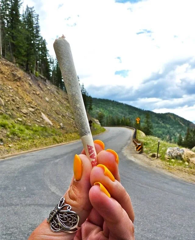 The path ahead may be uncertain but that doesn't mean you shouldn't take a chance, you never know the magic it may lead to!
💛
Creating with and for companies in the cannabis and hemp space is one of my favorite things!🌱💨
Let's connect if you need 