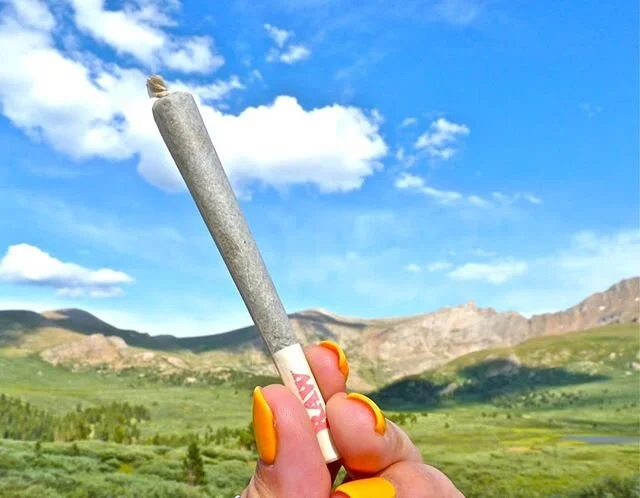 I've found that taking the road less traveled leads to some incredible views, don't forget to take it all in💛