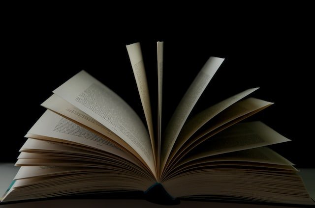 New Guidebook: Swivel to Sustainability, all about Full Systems Business Transformation