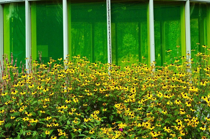 What is Greenwashing? How to Spot It and Stop it