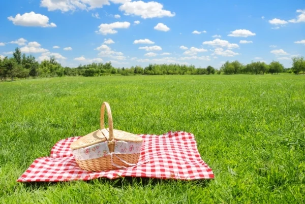 Picnic-Season.jpg