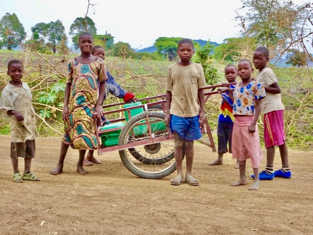 The Impact of Economic and Physical Water Scarcity