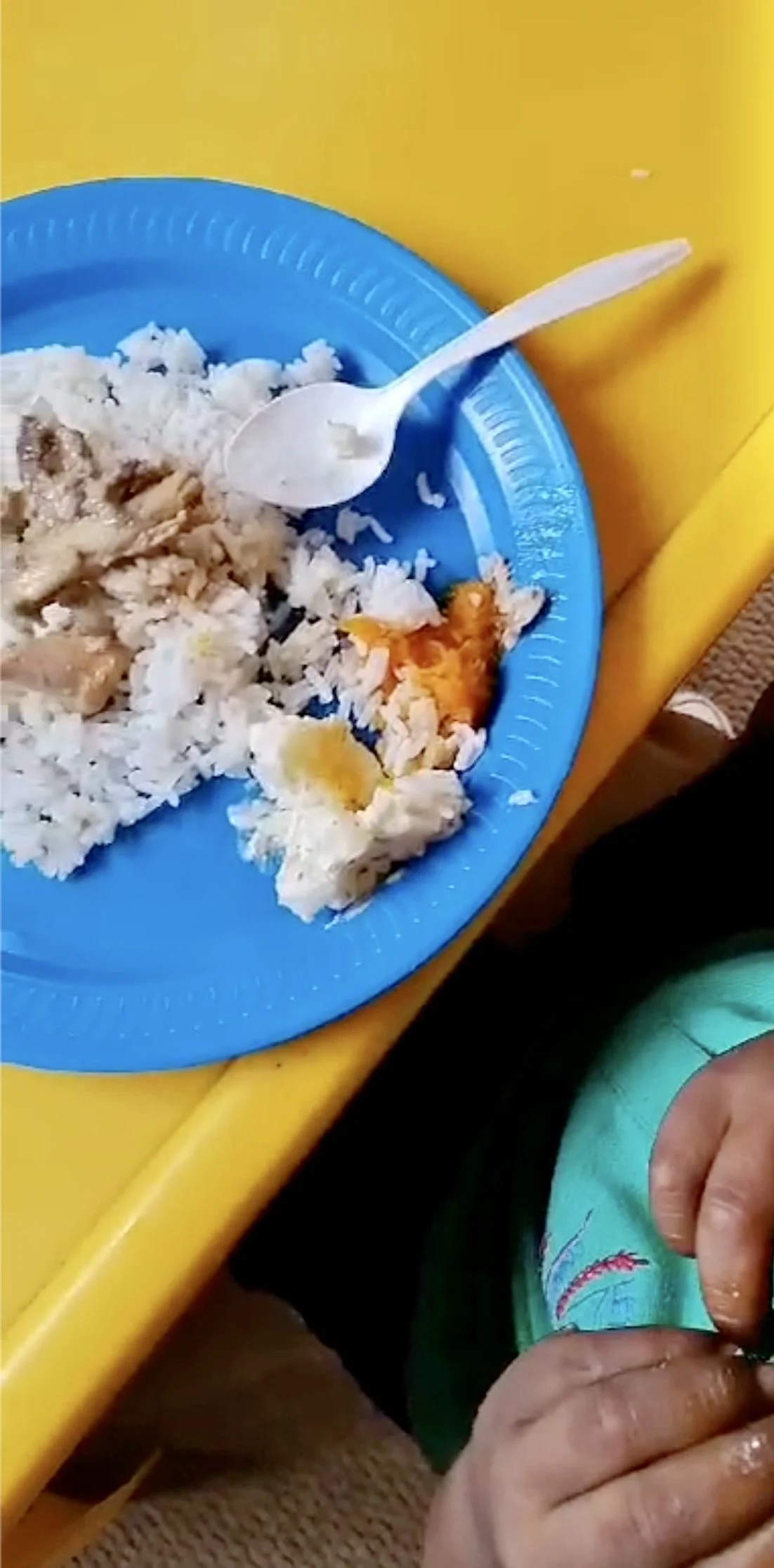 Learn What Sophie’s Got Cooking on Fridays!