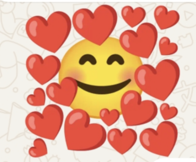 Sophie’s Big Bag Friday Strikes Gold!