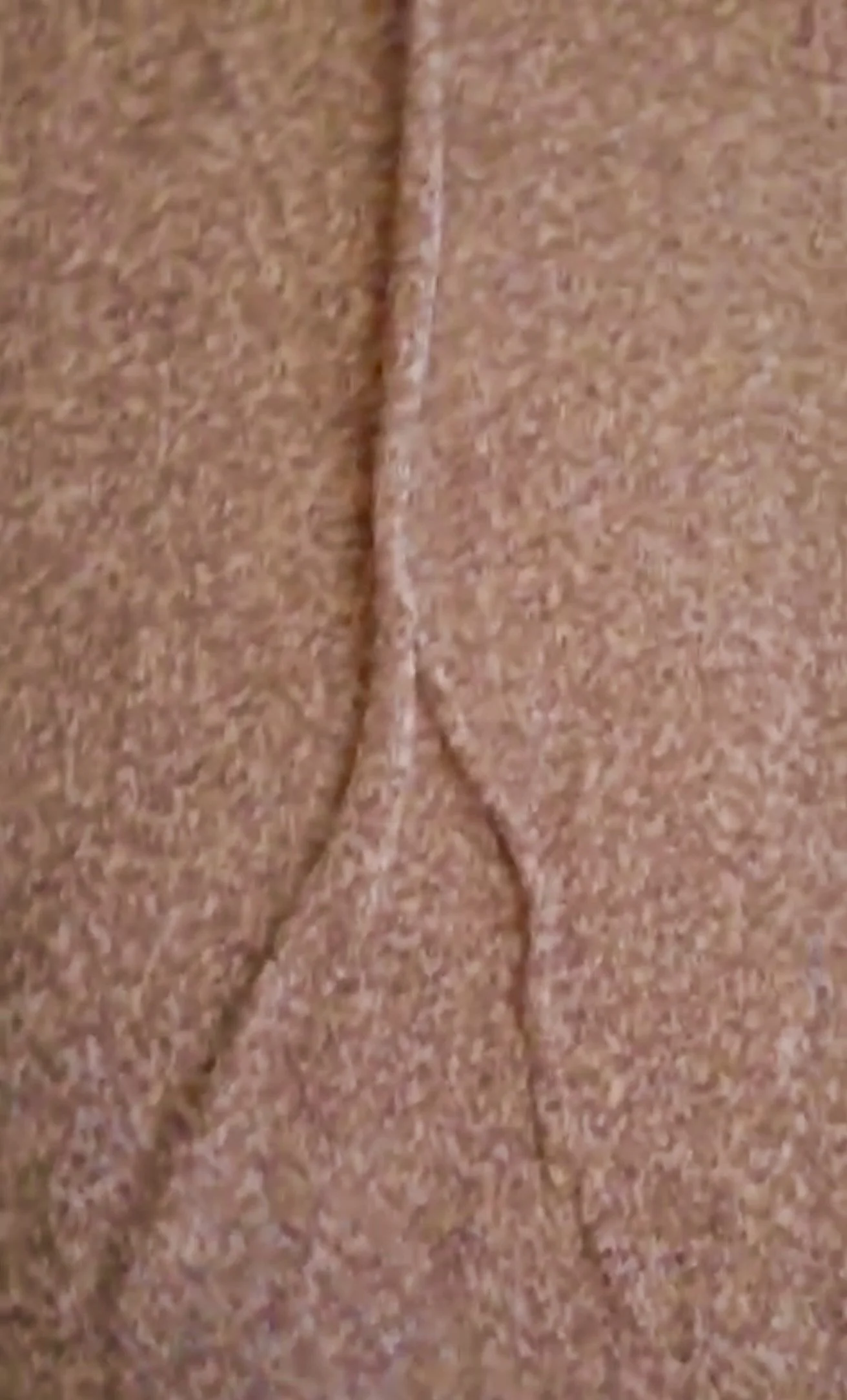 Sophie’s Priorities